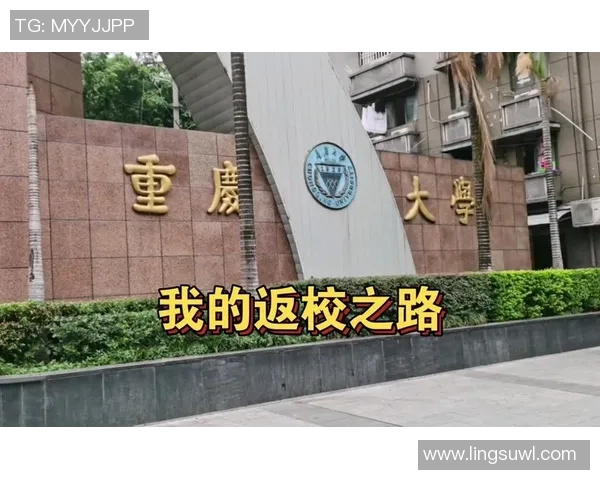 重庆足球队的转型之路:从传统到现代的全面革新探索 重庆足球队的转型之路:从传统到现代的全面革新探索