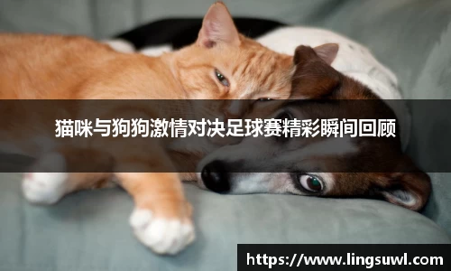 jbo竟博电竞官网