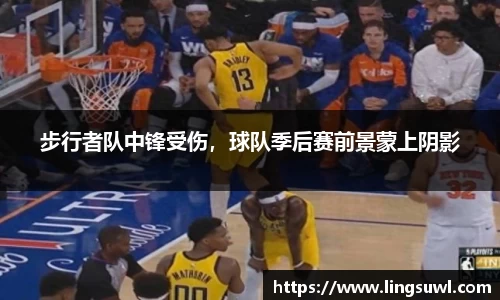 步行者队中锋受伤，球队季后赛前景蒙上阴影
