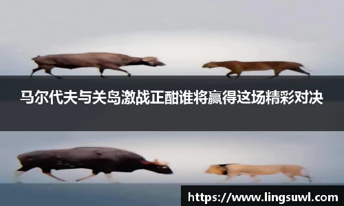 马尔代夫与关岛激战正酣谁将赢得这场精彩对决